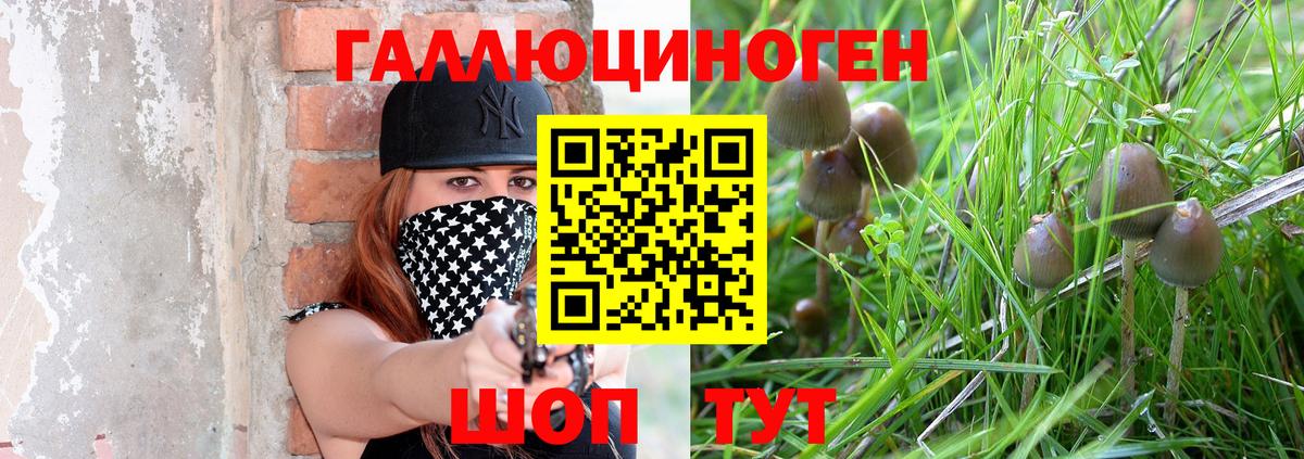 Галлюциногенные грибы GOLDEN TEACHER Острогожск